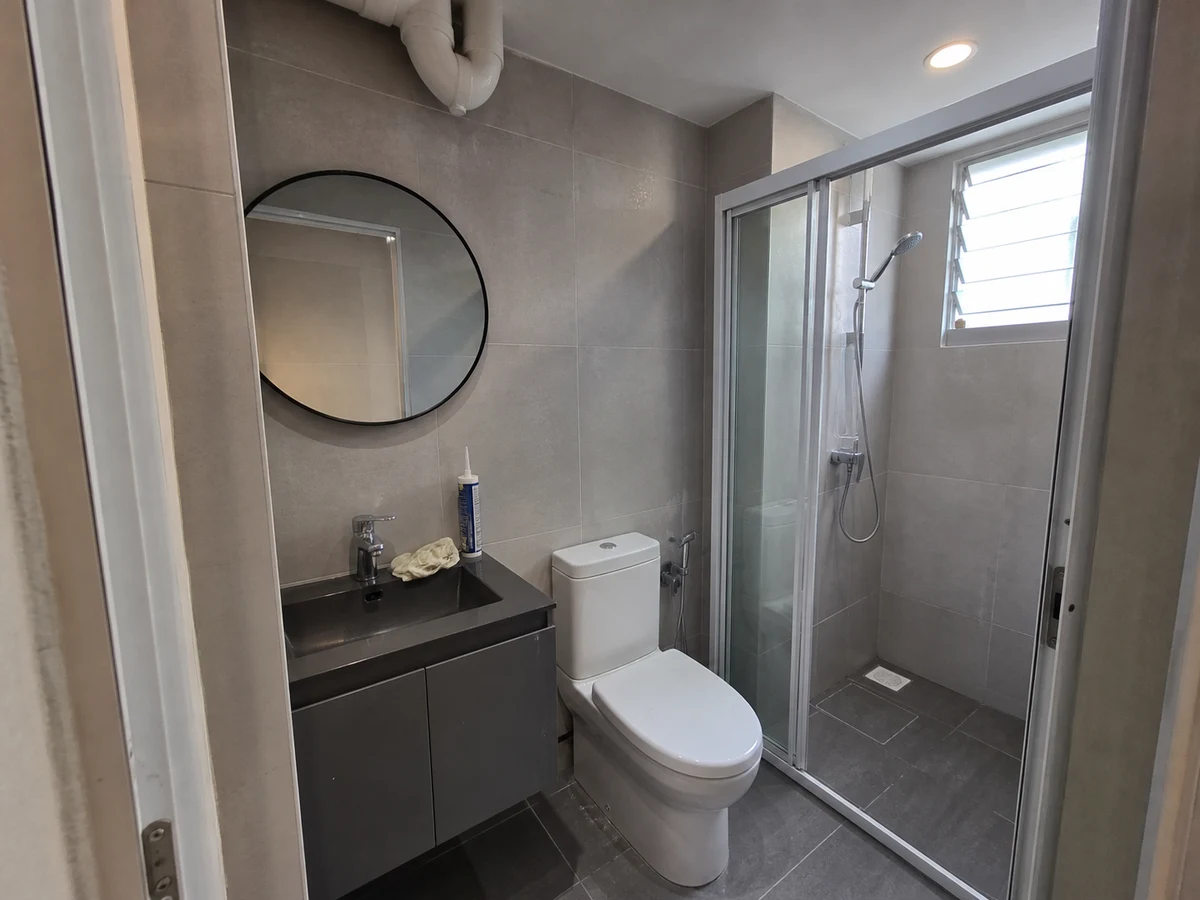 Compact bathroom renovation